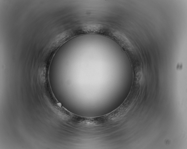 X0000097600498200803071432