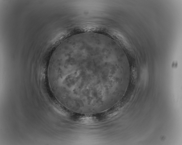 X0000097600499200803071432