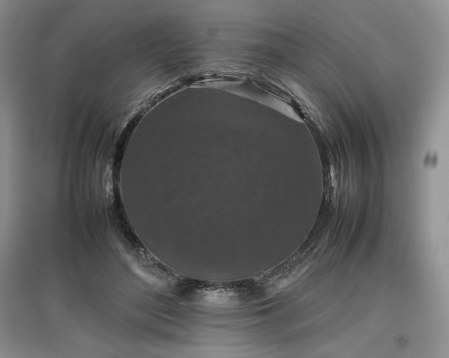 X0000097600500200803071432