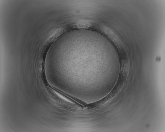 X0000097600501200803071432