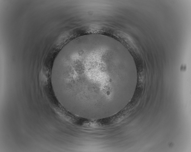 X0000097600503200803071432