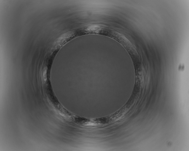 X0000097600504200803071432