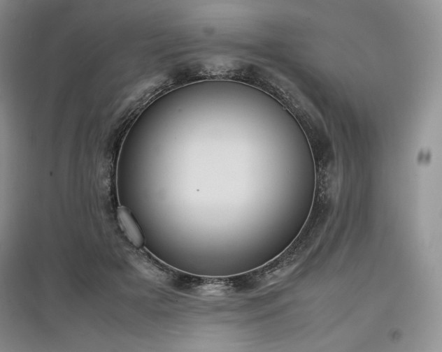 X0000097600505200803071432