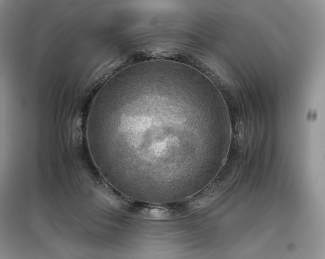 X0000097600506200803071432