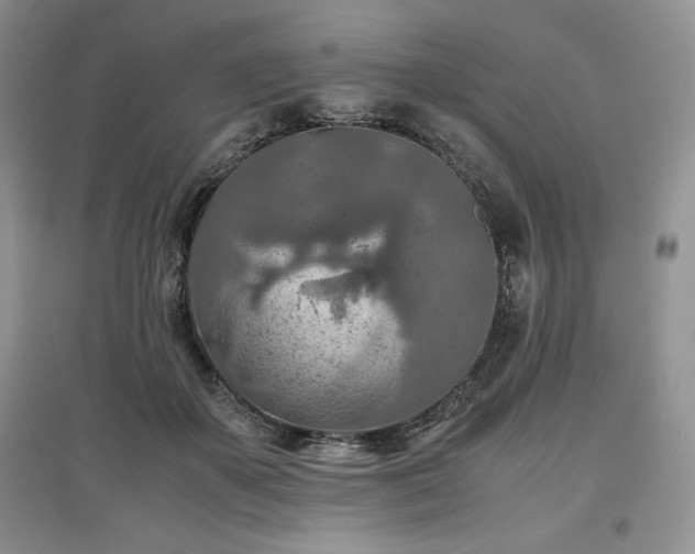X0000097600507200803071432