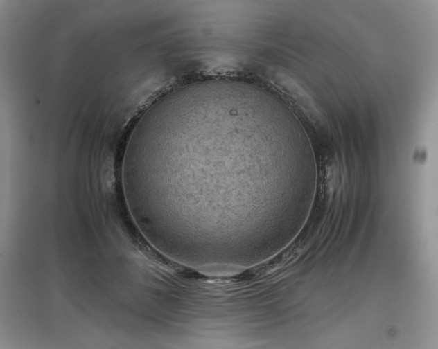 X0000097600508200803071432