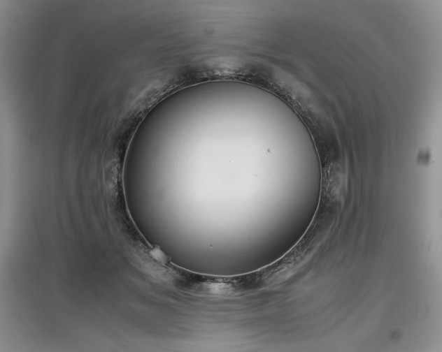 X0000097600509200803071432