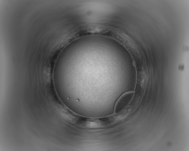 X0000097600510200803071432