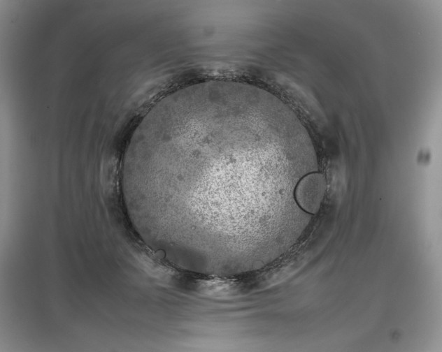 X0000097600511200803071432