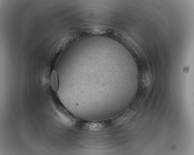 X0000097600512200803071432