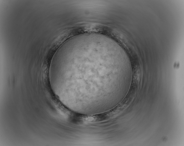 X0000097600513200803071432