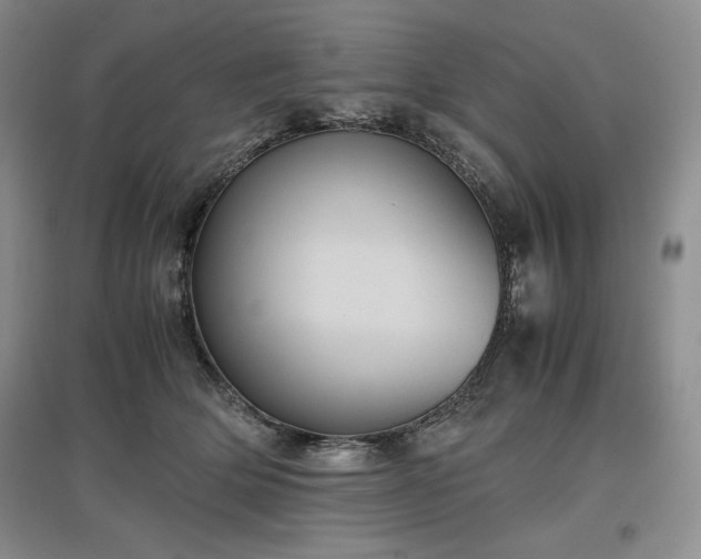 X0000097600514200803071432