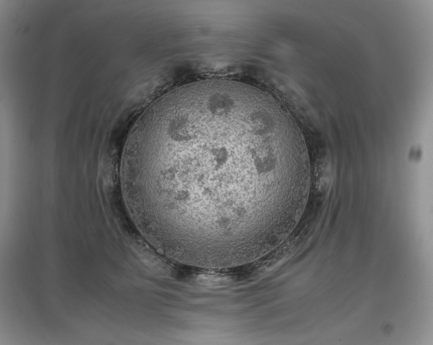 X0000097600515200803071432
