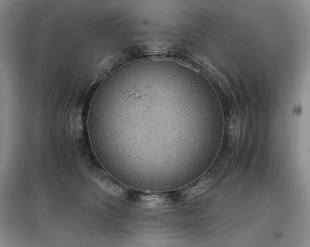 X0000097600516200803071432
