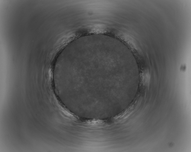 X0000097600517200803071432