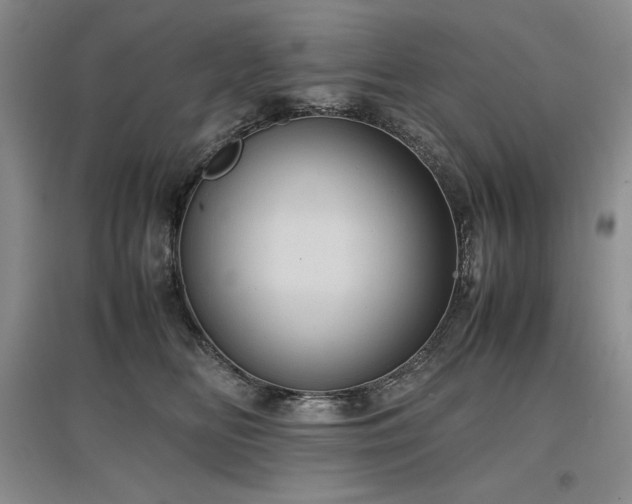 X0000097600518200803071432
