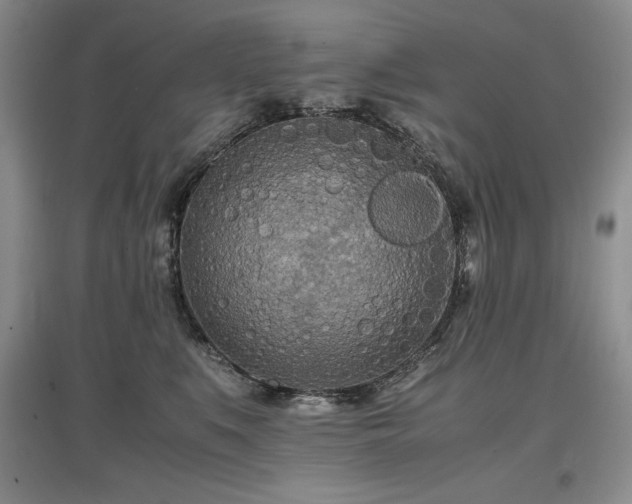 X0000097600519200803071432