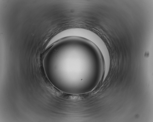X0000097600520200803071432