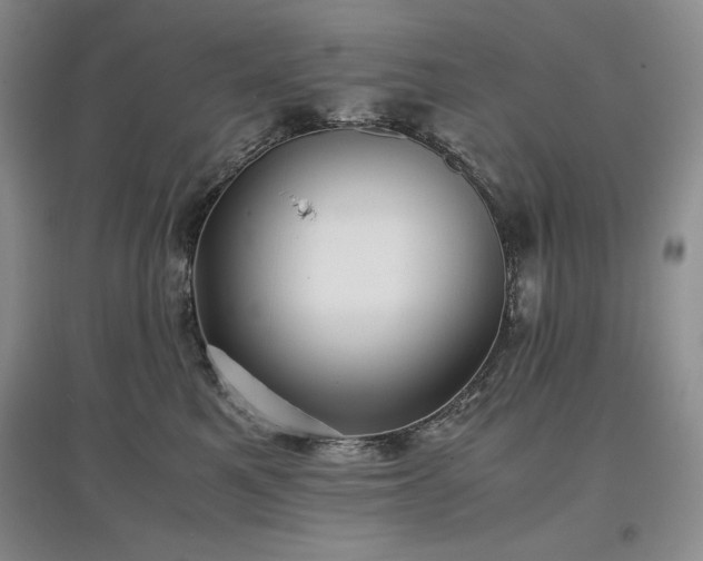 X0000097600521200803071432