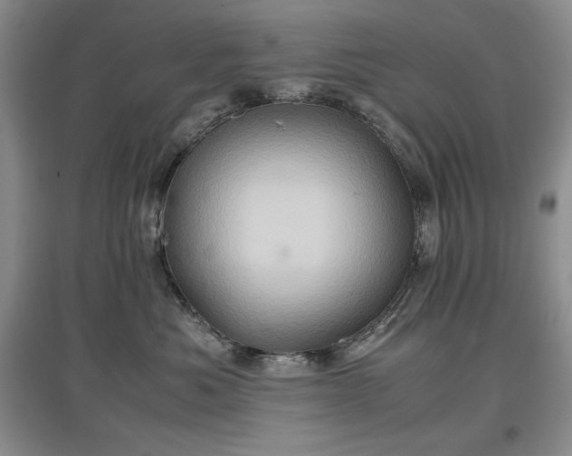 X0000097600525200803071432