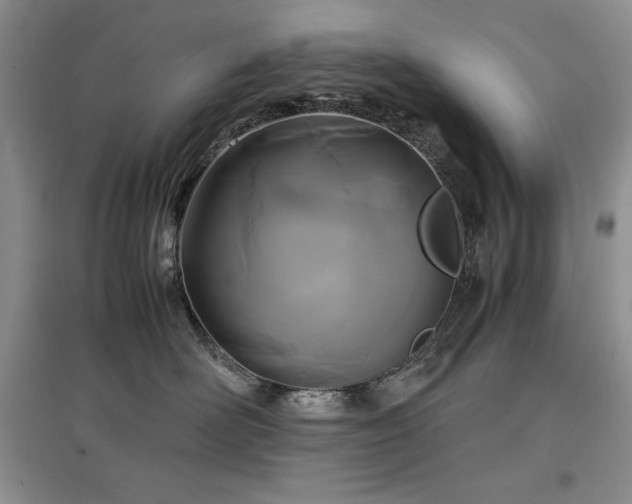 X0000097600526200803071432