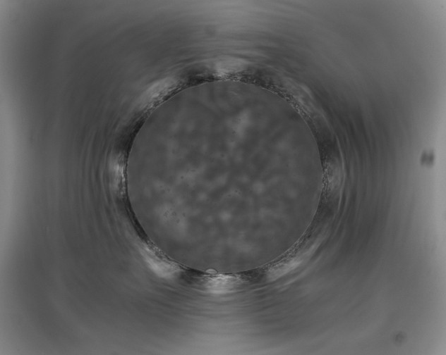 X0000097600527200803071432
