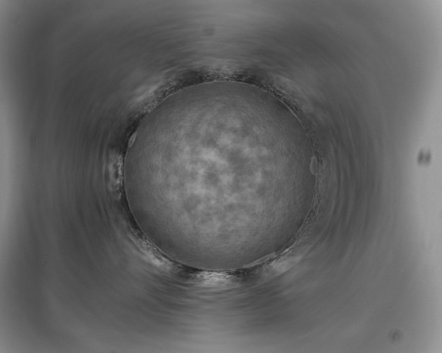 X0000097600528200803071432