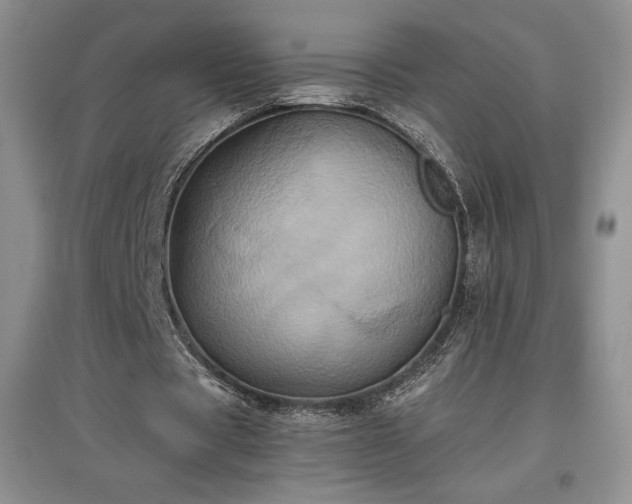 X0000097600529200803071431