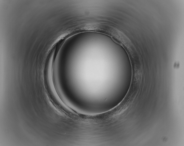 X0000097600530200803071431