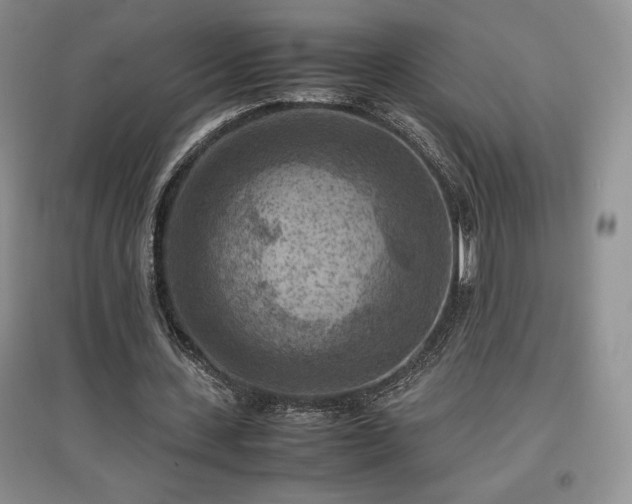 X0000097600531200803071431