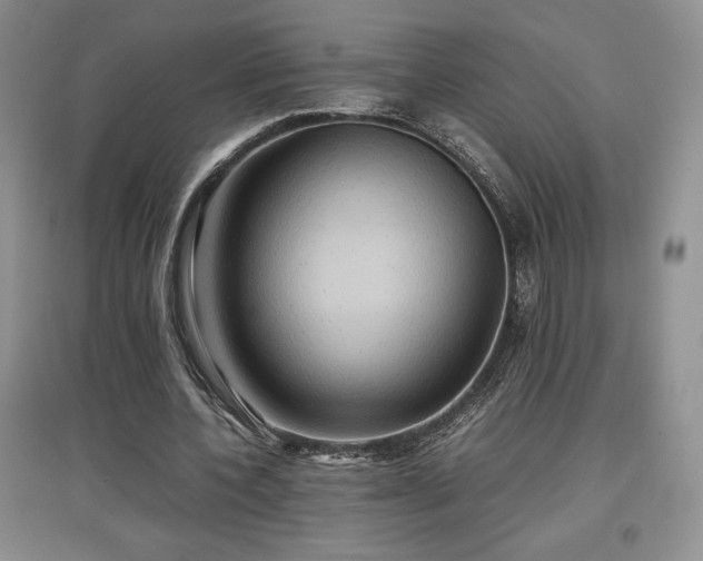 X0000097600532200803071431