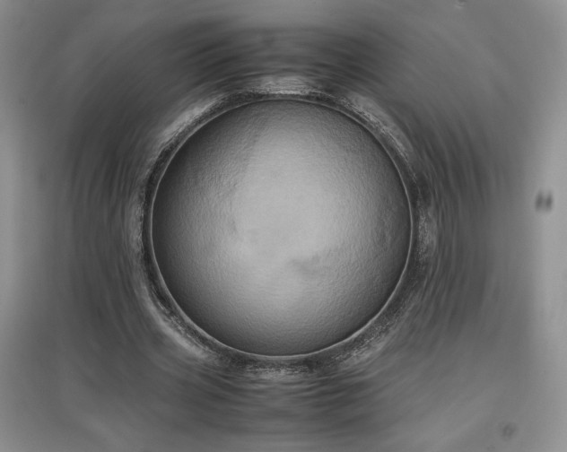 X0000097600533200803071431
