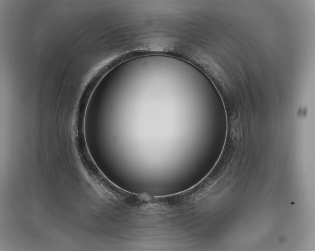 X0000097600536200803071431