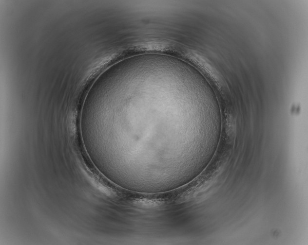 X0000097600537200803071431