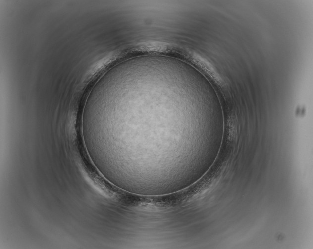 X0000097600538200803071431
