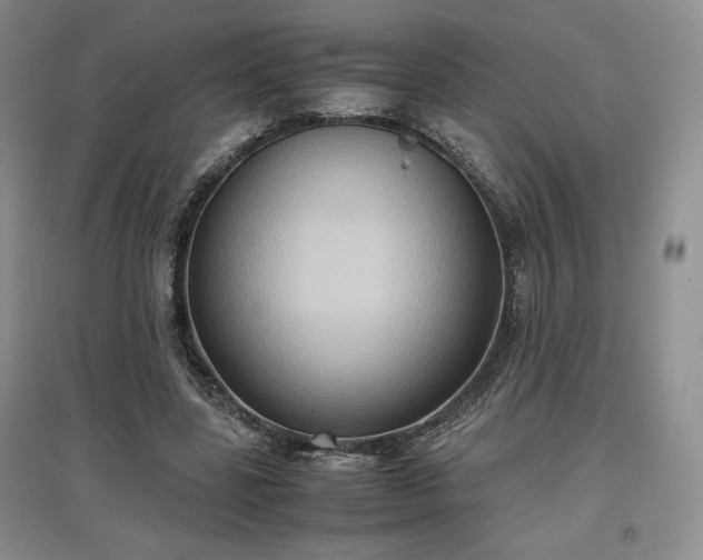 X0000097600539200803071431