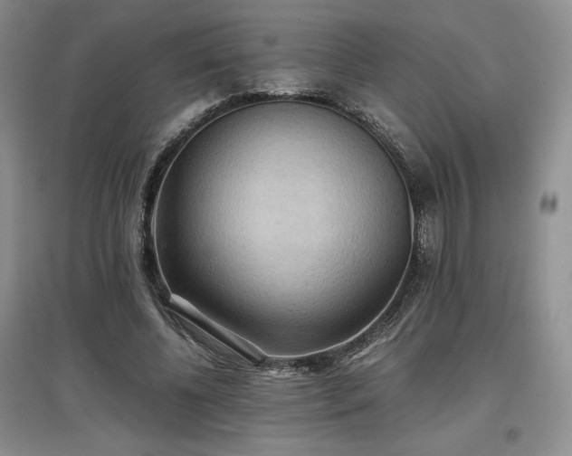 X0000097600540200803071431