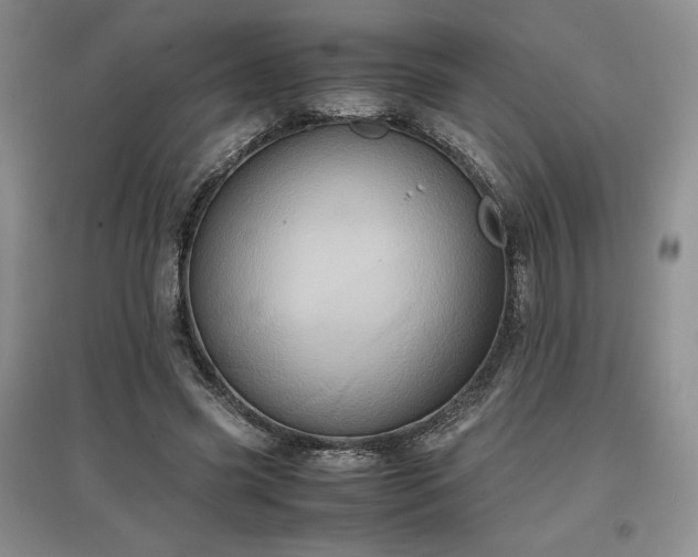 X0000097600541200803071431