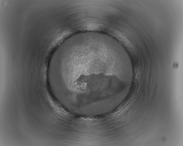 X0000097600542200803071431