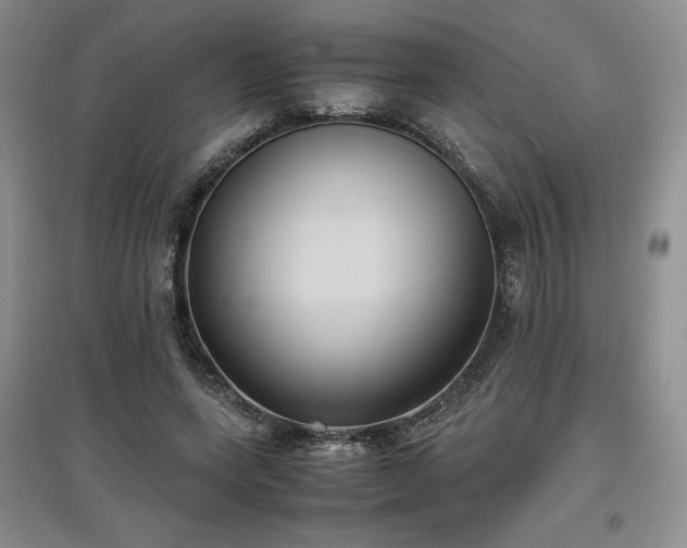 X0000097600543200803071431