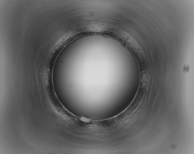 X0000097600544200803071431