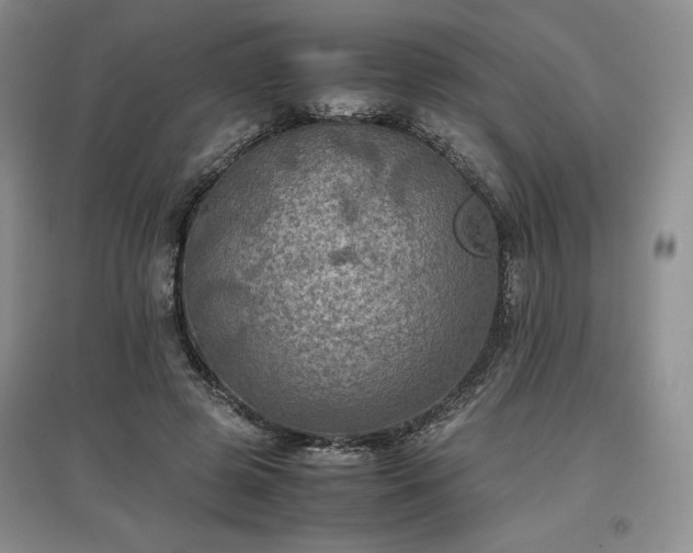 X0000097600545200803071431
