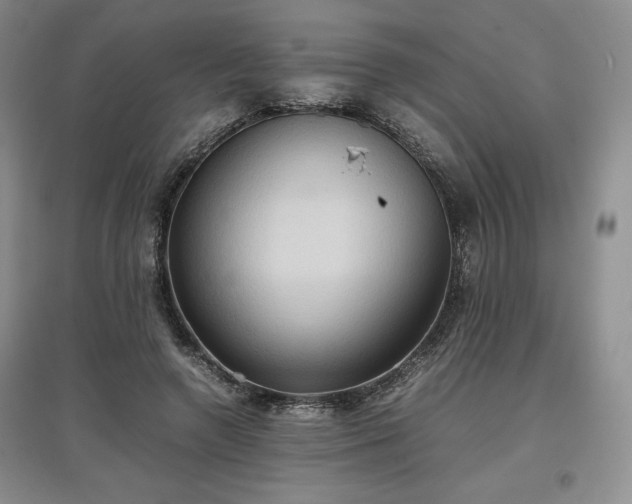 X0000097600546200803071431