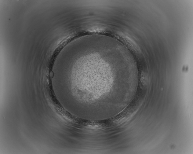 X0000097600547200803071431