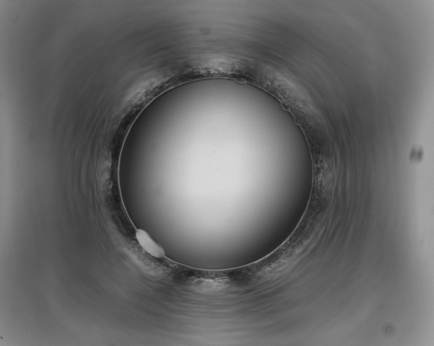 X0000097600548200803071431