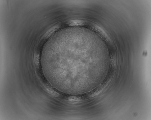 X0000097600549200803071431