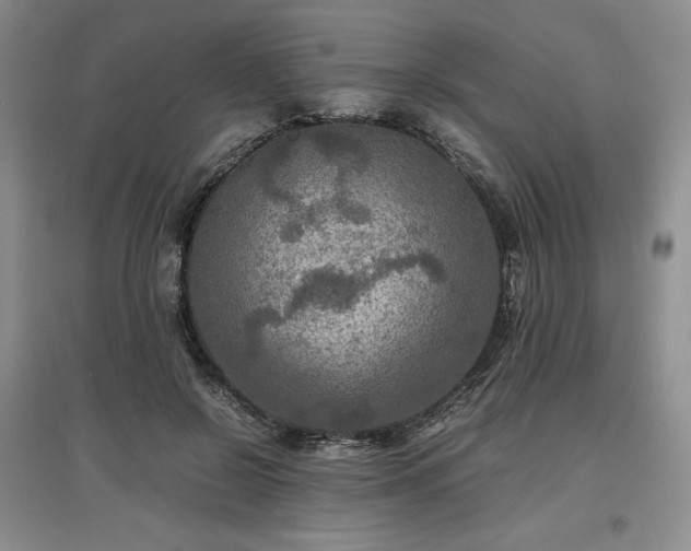 X0000097600550200803071431