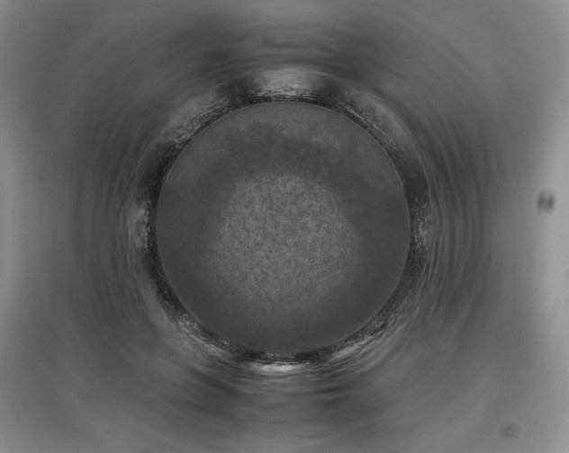 X0000097600551200803071431
