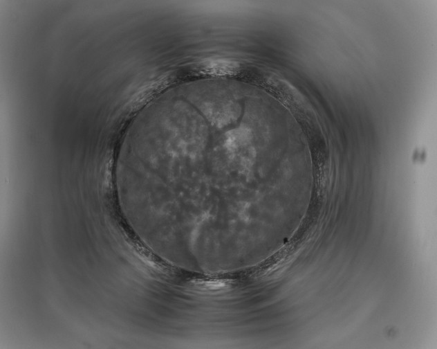 X0000097600553200803071431