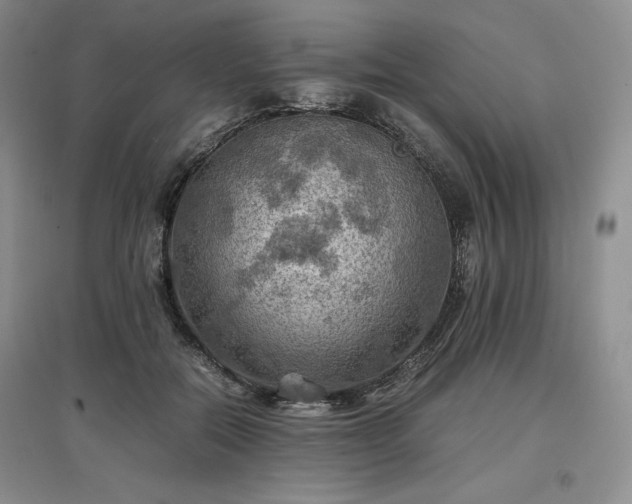 X0000097600554200803071431